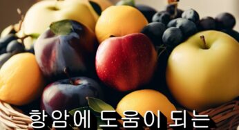 암 예방과 항암에 도움되는 과일 4종