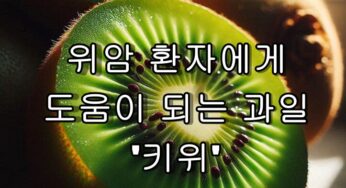 위암 환자에게 도움이 되는 과일 ‘키위’